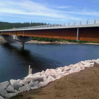 Single Lane Steel Box Girder Bridge Multi Span Steel Pedestrian Bridge supplier