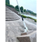 Customized Bridge Cable Processing Awning Rod Steel Structure Cable Stainless Steel Rod supplier