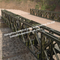 Single Lane Steel Truss Bridge Delta Bridging Solution Full Highway Loading Capability supplier